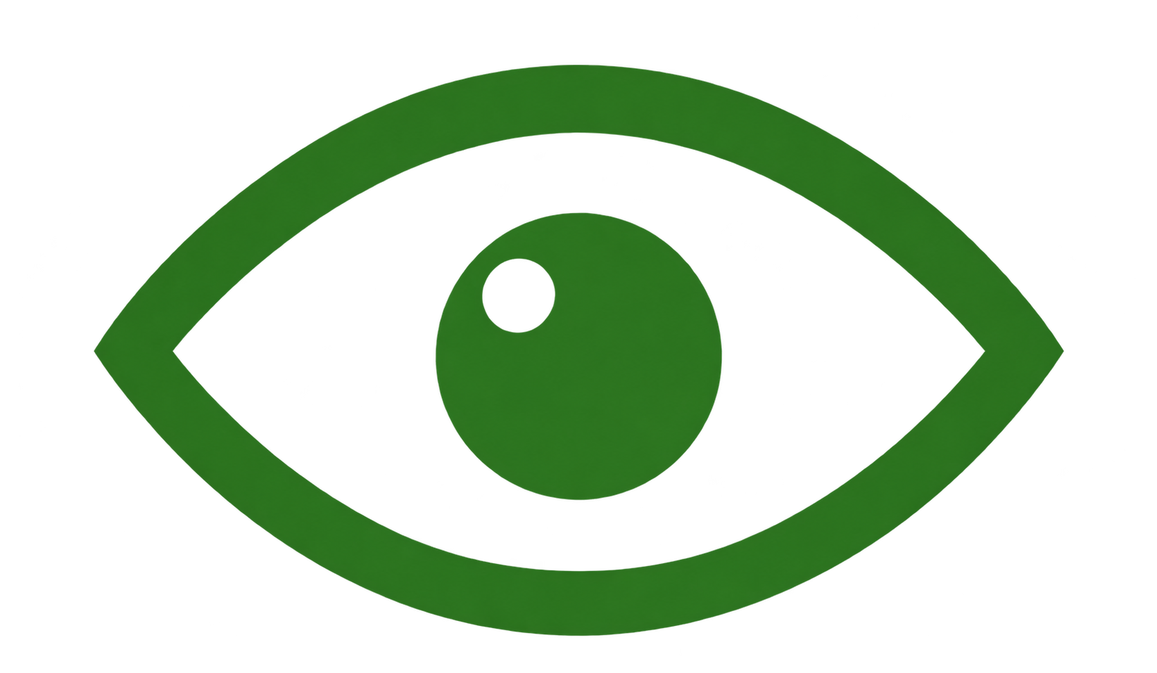 Our Vision